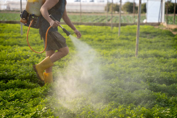 Best Wasp Removal Services  in Atco, NJ