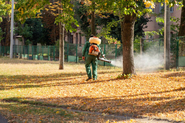 Wasp Removal Services in Atco, NJ