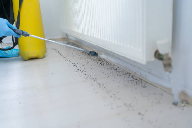 Best Flea Control Services  in Atco, NJ