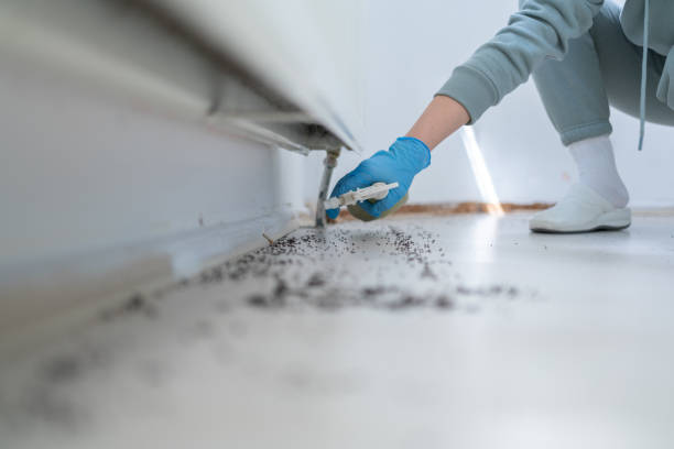 Reliable Atco, NJ Pest Control Solutions